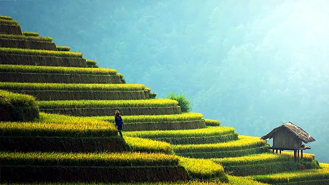 Vietnam
