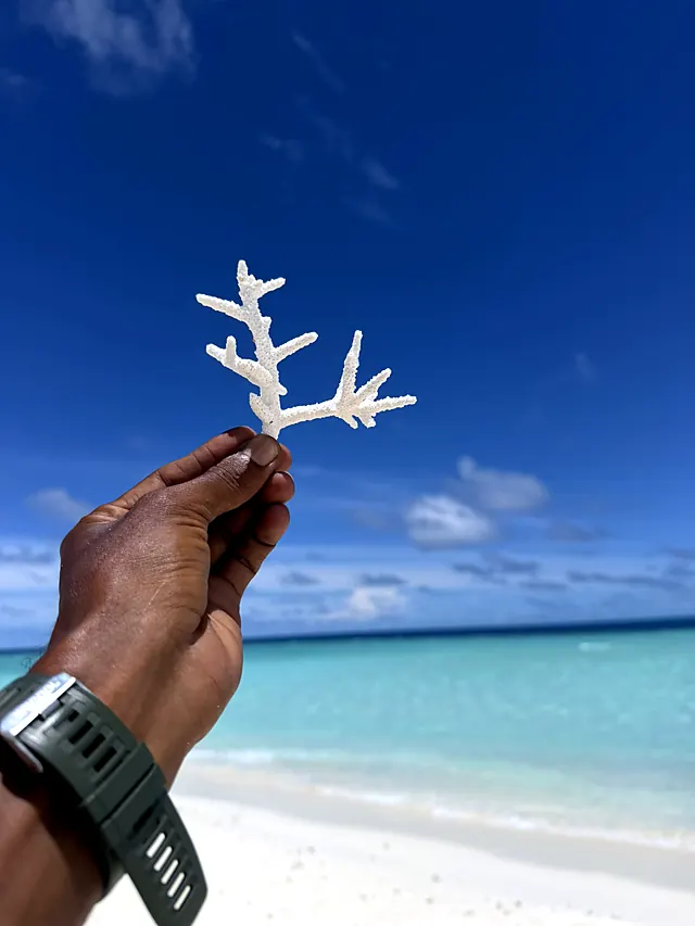 Keyodhoo — escursioni