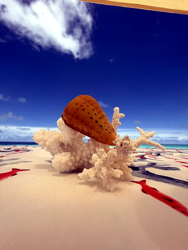 Keyodhoo — escursioni