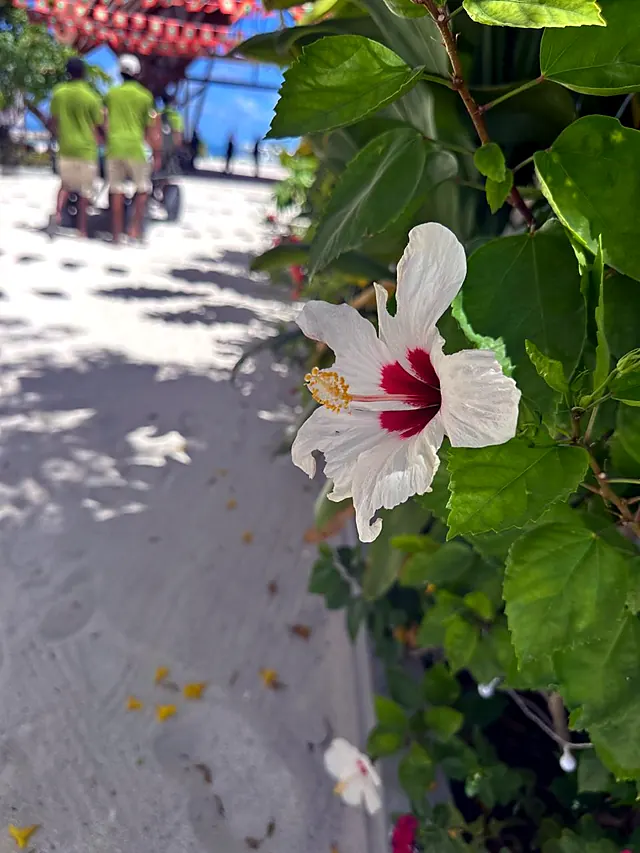 Keyodhoo — l'isola