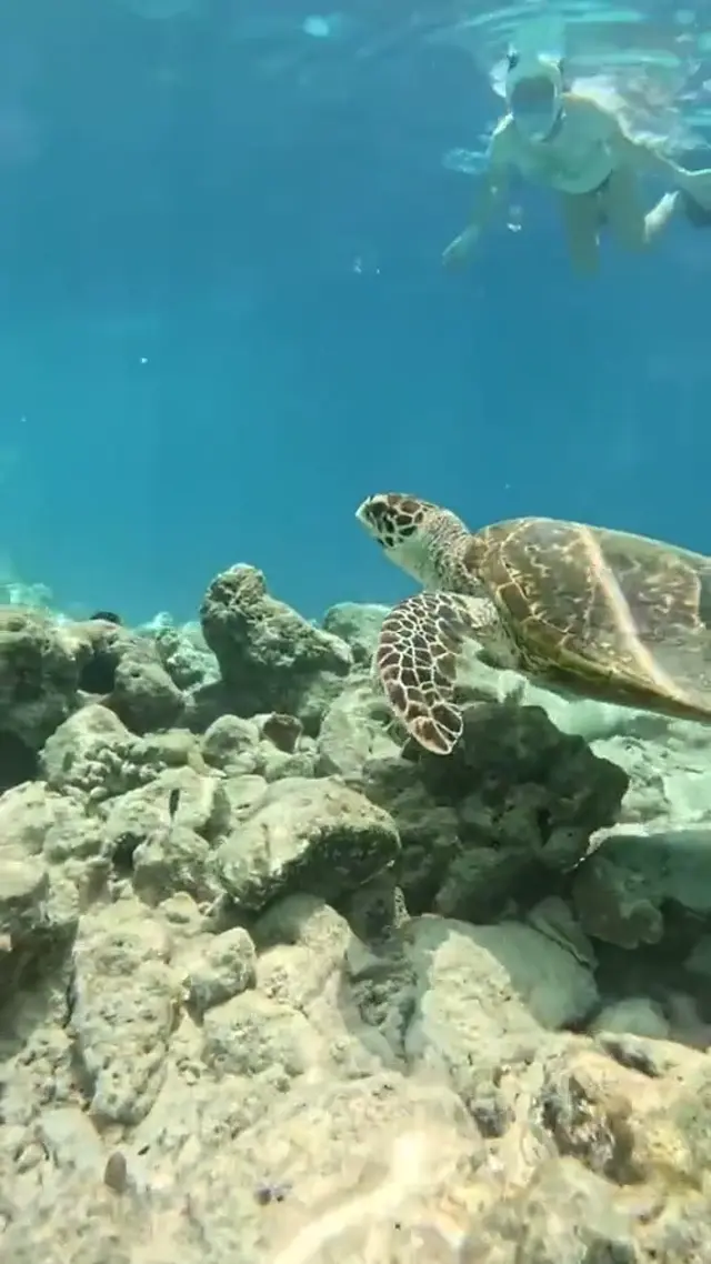 Keyodhoo — escursioni (video)