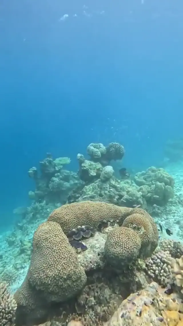Keyodhoo — escursioni (video)