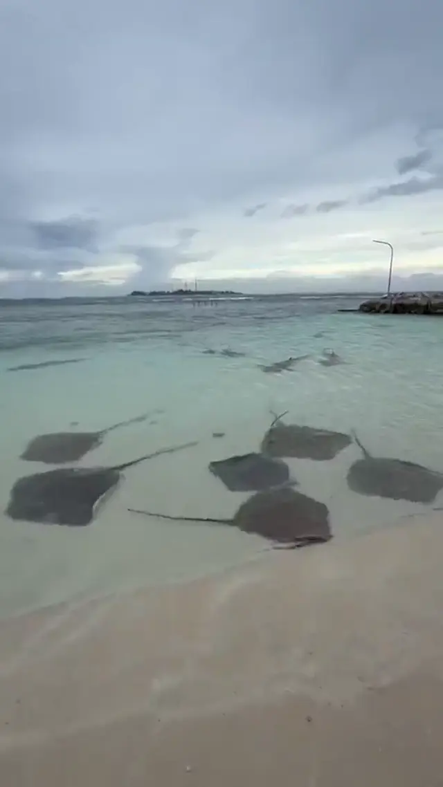 Keyodhoo — escursioni (video)