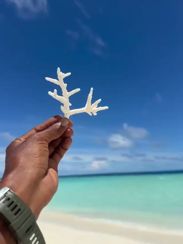 Keyodhoo — escursioni (video)