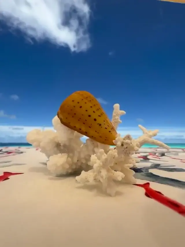 Keyodhoo — escursioni (video)