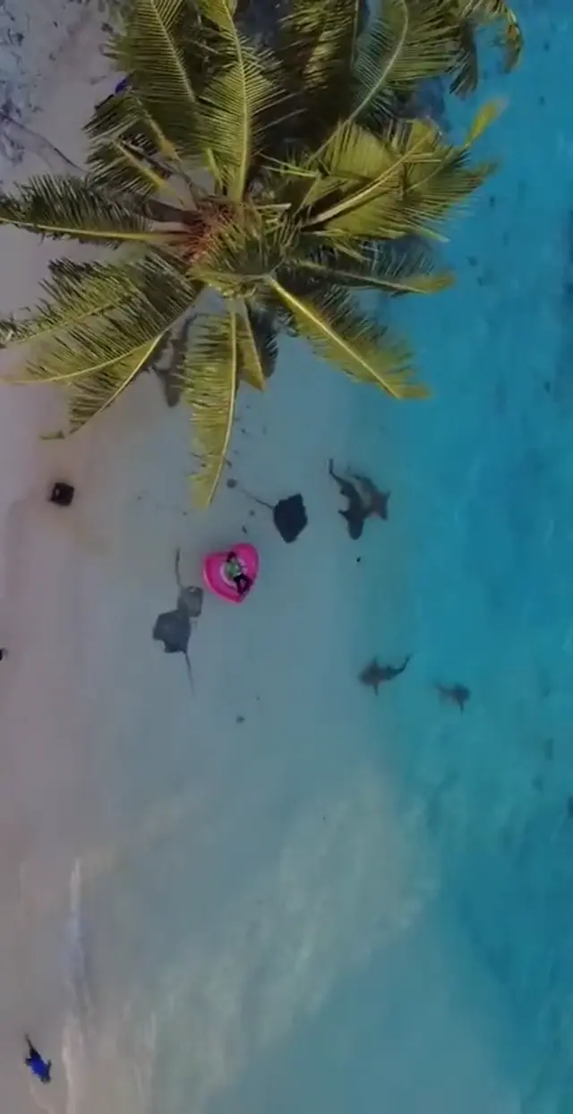 Keyodhoo — l'isola (video)