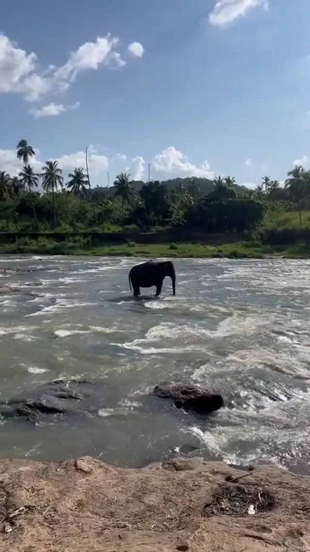 Sri Lanka (video)