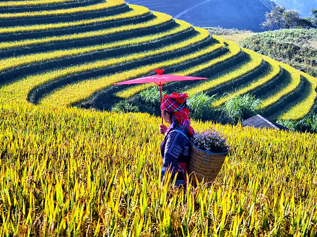 Vietnam