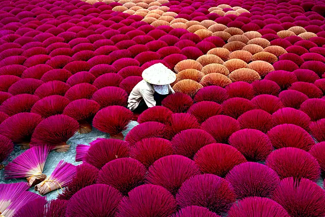 Vietnam