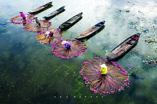 Vietnam