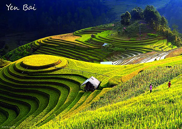 Vietnam